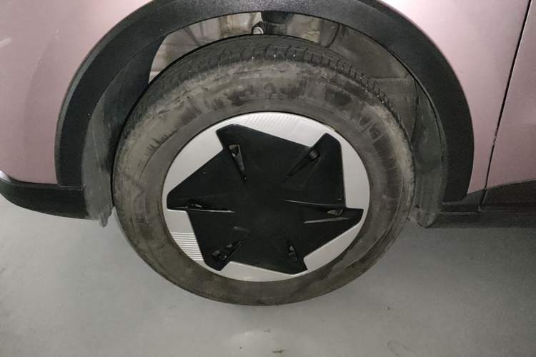 Used Geometry E Firefly 2024 301km Starlight Left Front Wheel Hub