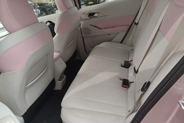 Used Geometry E Firefly 2024 401 km Fluorescent Left Rear Seat