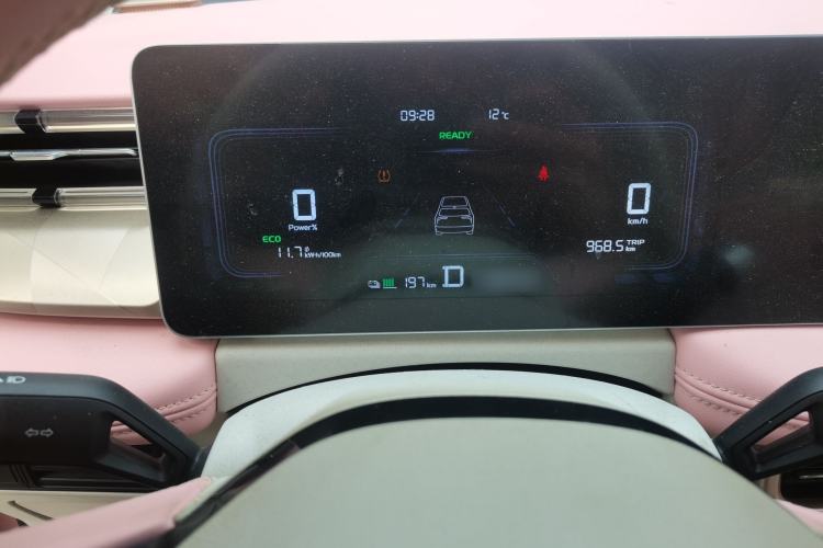 Used Geometry E Firefly 2024 301km Starlight Instrument Cluster