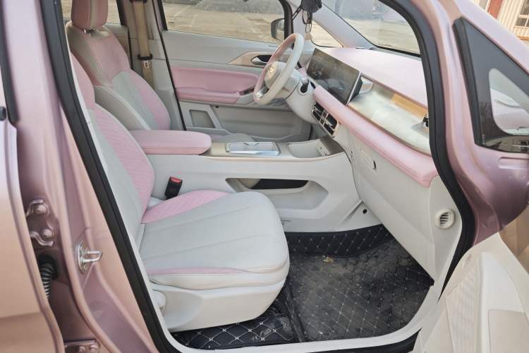 Used Geometry E Firefly 2024 301km Starlight Interior 2