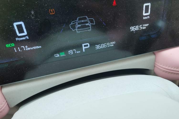 Used Geometry E Firefly 2024 301km Starlight Odometer Close Up