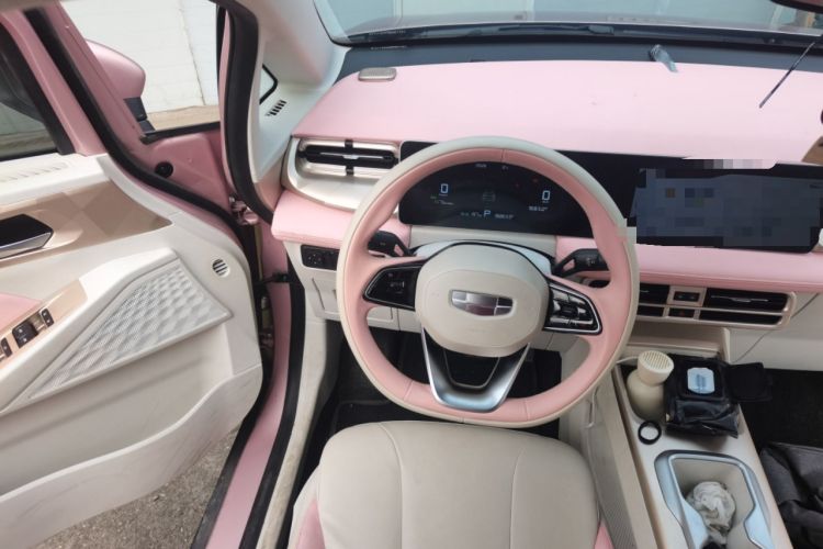 Used Geometry E Firefly 2024 301km Starlight Steering Wheel