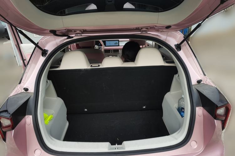 Used Geometry E Firefly 2024 301km Starlight Trunk