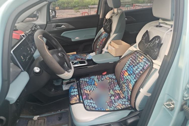 Used Geometry E Firefly 2024 301km Flowing Light Left Front Seat