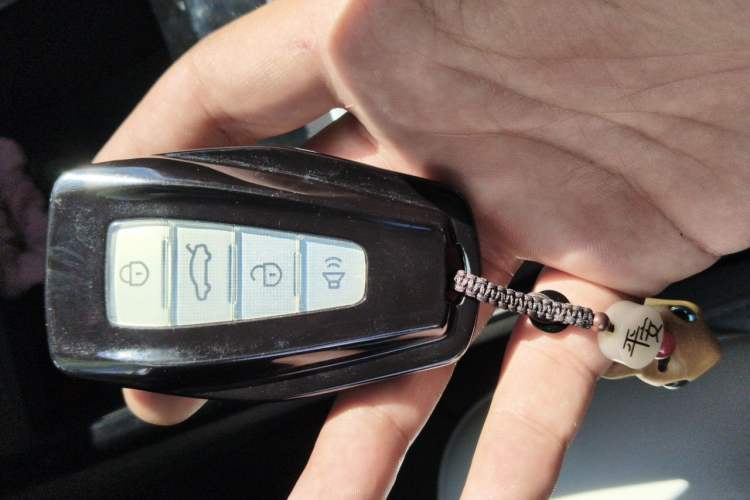Used Geometry E Firefly 2024 401km Starlight Vehicle Key