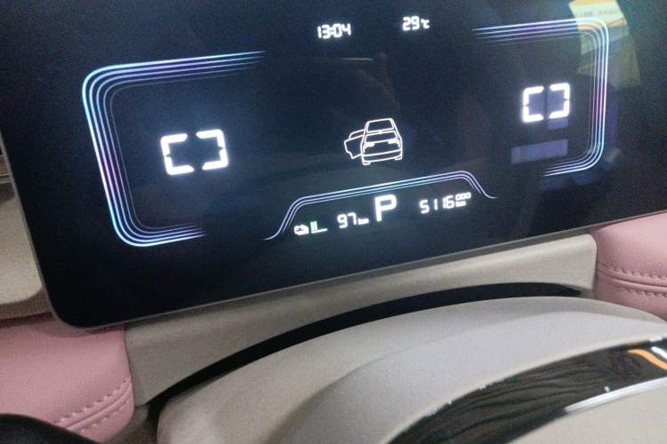 Used Geometry E Firefly 2024 301km Starlight Odometer Close Up