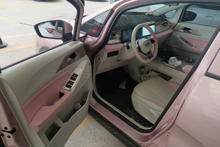 Used Geometry E Firefly 2024 401 km Fluorescent Driver Seat