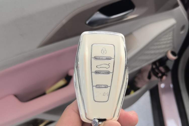 Used Geometry E Firefly 2024 401 km Fluorescent Interior 1