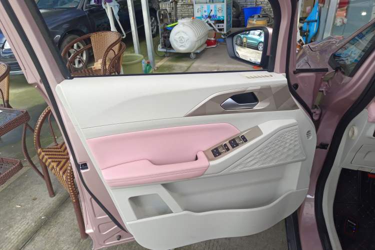 Used Geometry E Firefly 2024 301km Starlight Left Front Door Interior