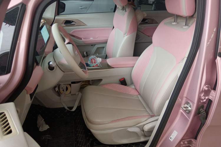 Used Geometry E Firefly 2024 401 km Fluorescent Left Front Seat