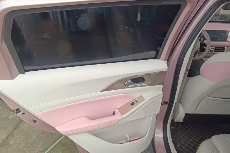 Used Geometry E Firefly 2024 301km Starlight Left Rear Door Interior