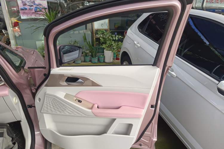 Used Geometry E Firefly 2024 301km Starlight Right Front Door Interior