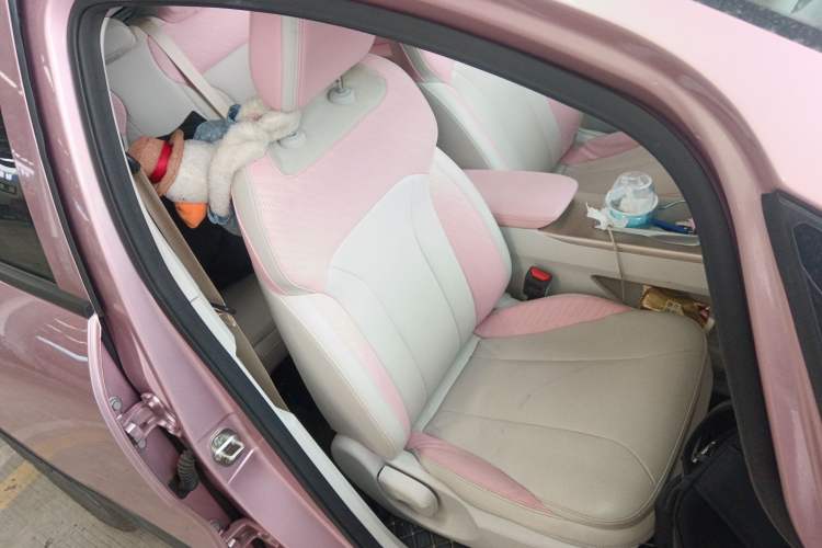 Used Geometry E Firefly 2024 401 km Fluorescent Right Front Seat