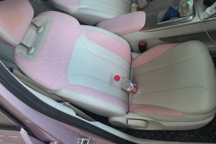 Used Geometry E Firefly 2024 401 km Fluorescent Right Front Seat