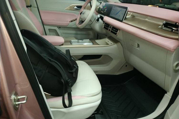 Used Geometry E Firefly 2024 301km Starlight Right Front Seat
