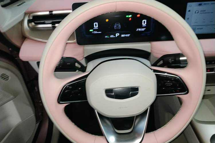 Used Geometry E Firefly 2024 301km Starlight Steering Wheel