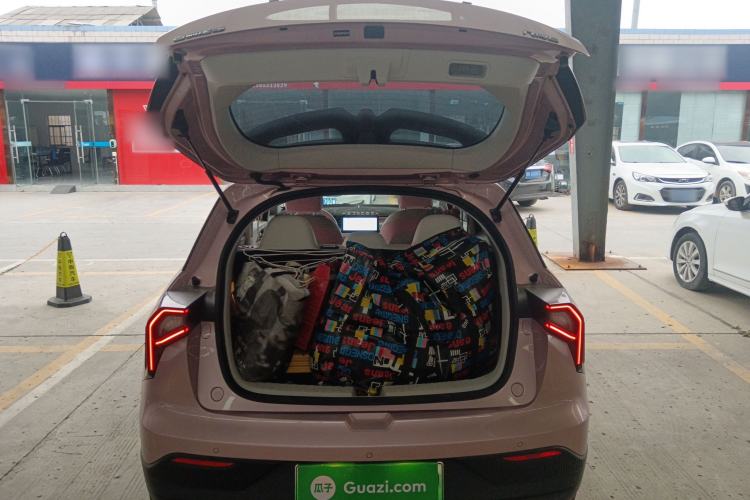 Used Geometry E Firefly 2024 401 km Fluorescent Trunk