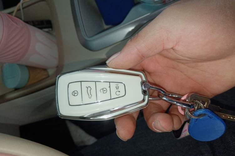 Used Geometry E Firefly 2024 401 km Fluorescent Vehicle Key