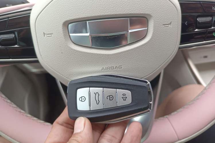 Used Geometry E Firefly 2024 301km Starlight Vehicle Key