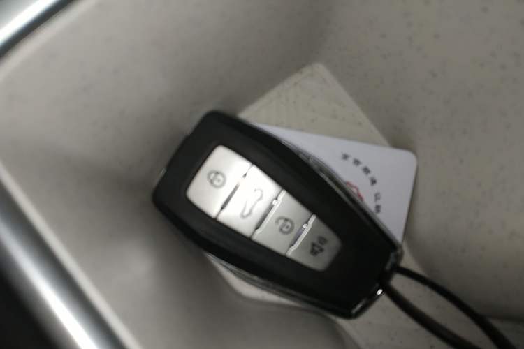 Used Geometry E Firefly 2024 301km Starlight Vehicle Key
