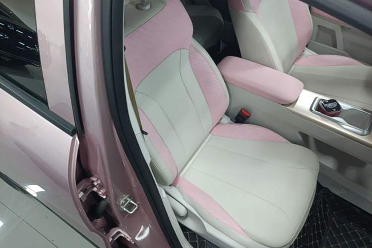 Used Geometry E Firefly 2024 401 km Fluorescent Right Front Seat