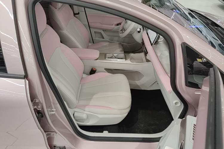 Used Geometry E Firefly 2024 401 km Fluorescent Right Front Seat