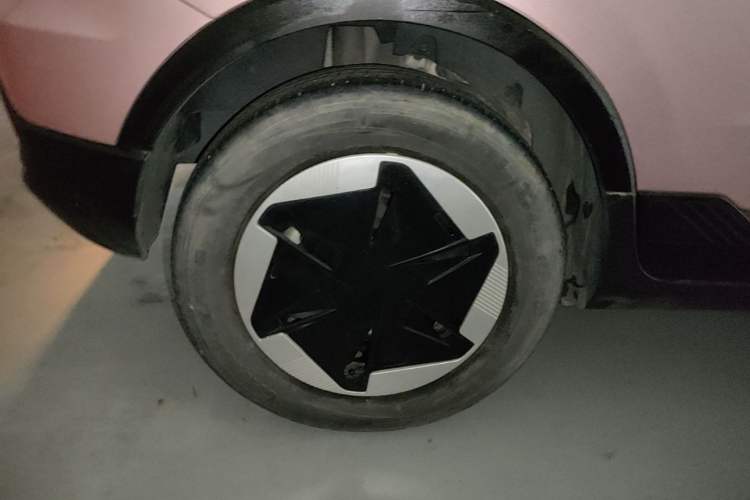 Used Geometry E Firefly 2024 301km Starlight Right Rear Wheel Hub