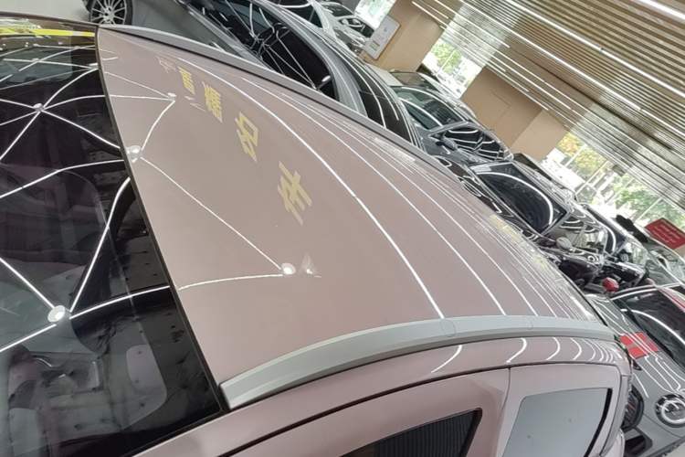 Used Geometry E Firefly 2024 401 km Fluorescent Roof