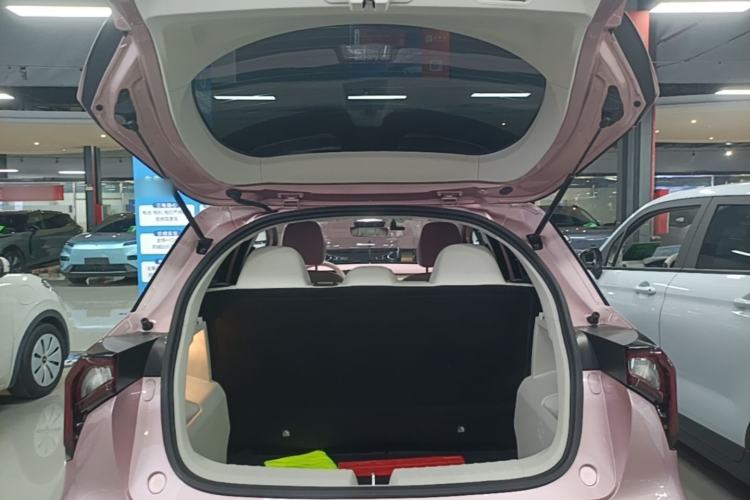 Used Geometry E Firefly 2024 401 km Fluorescent Trunk