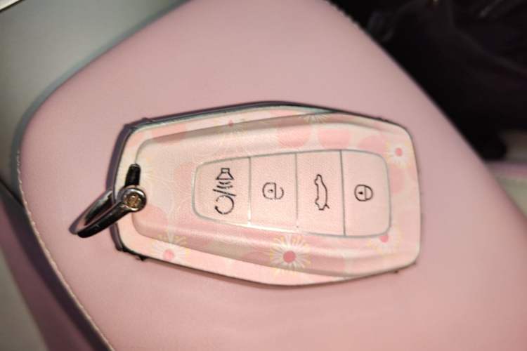 Used Geometry E Firefly 2024 401 km Fluorescent Vehicle Key