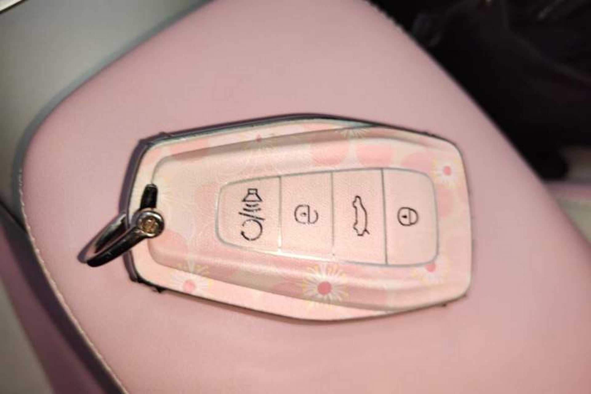 Used Geometry E Firefly 2024 401 km Fluorescent Vehicle Key