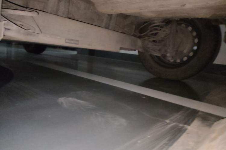 Used Geometry E Firefly 2024 301km Longteng Edition Chassis Rear Left