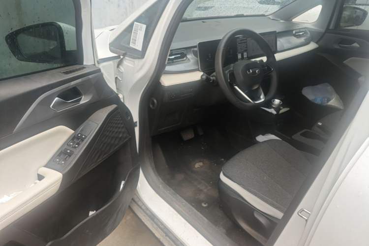 Used Geometry E Firefly 2024 301km Flowing Light Driver Seat