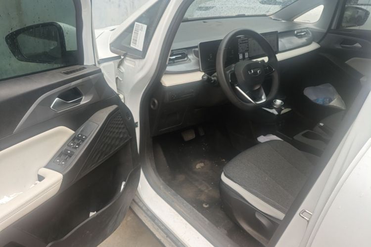 Used Geometry E Firefly 2024 301km Flowing Light Driver Seat