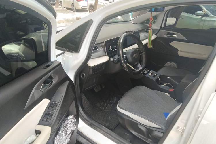 Used Geometry E Firefly 2024 301km Longteng Edition Driver Seat