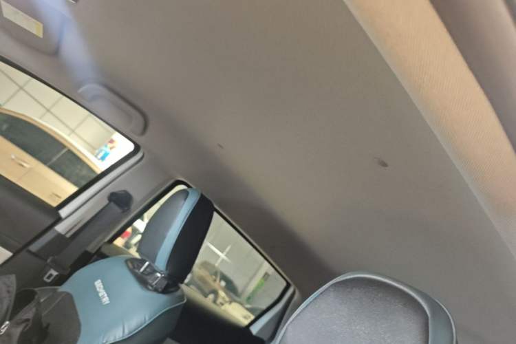 Used Geometry E Firefly 2024 301km Flowing Light Headliner