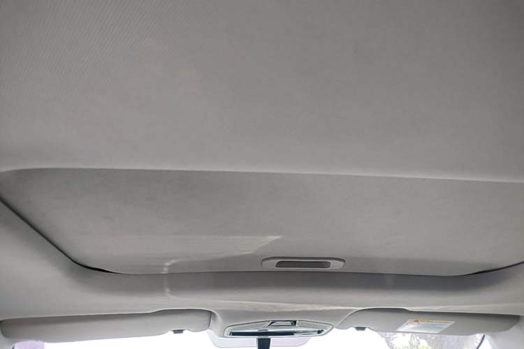 Used Geometry E Firefly 2024 301km Starlight Headliner