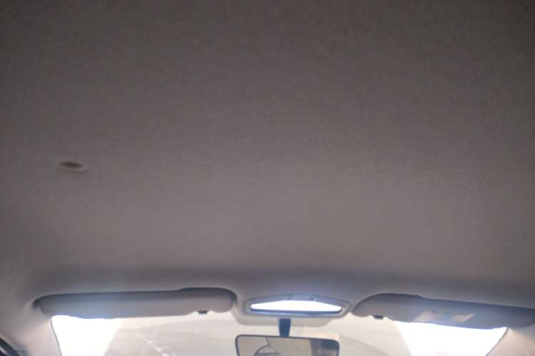 Used Geometry E Firefly 2024 301km Longteng Edition Headliner