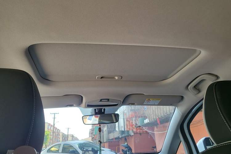 Used Geometry E Firefly 2024 401km Starlight Headliner