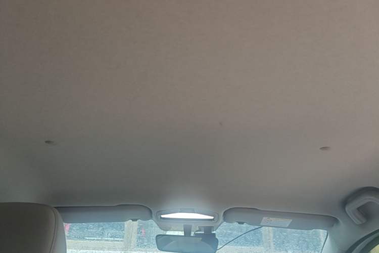 Used Geometry E Firefly 2024 301km Flowing Light Headliner