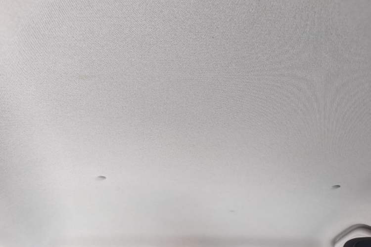 Used Geometry E Firefly 2024 301km Starlight Headliner
