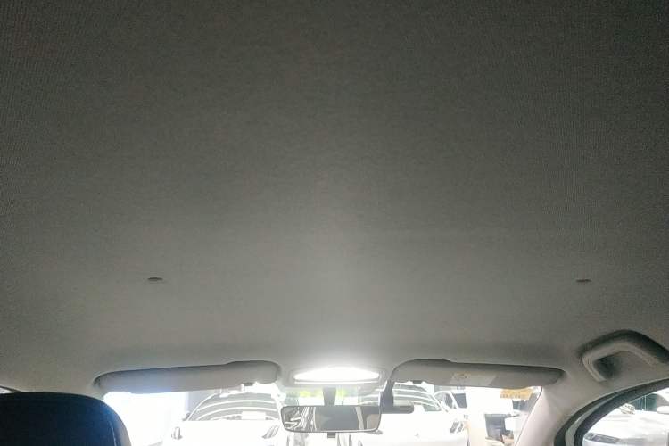 Used Geometry E Firefly 2024 401km Starlight Headliner