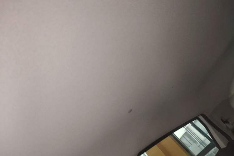 Used Geometry E Firefly 2024 301km Flowing Light Headliner