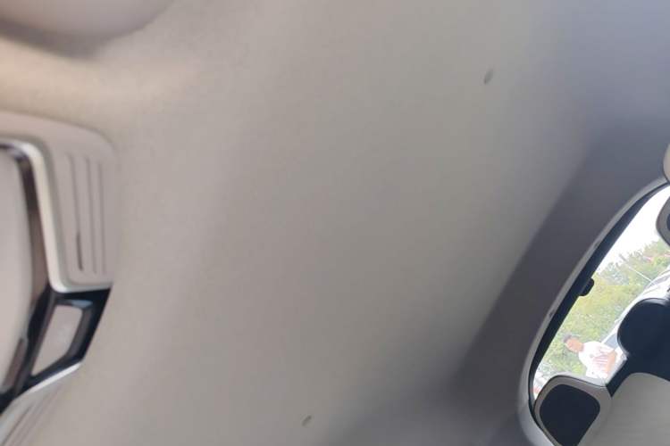 Used Geometry E Firefly 2024 301km Starlight Headliner