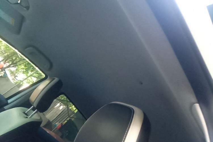 Used Geometry E Firefly 2024 401km Starlight Headliner