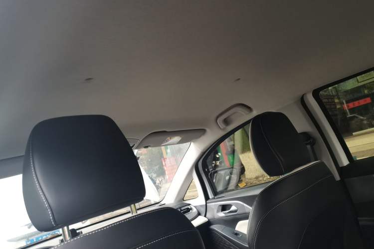 Used Geometry E Firefly 2024 401km Starlight Headliner