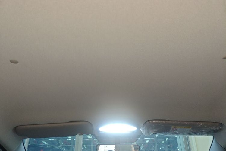 Used Geometry E Firefly 2024 301km Flowing Light Headliner