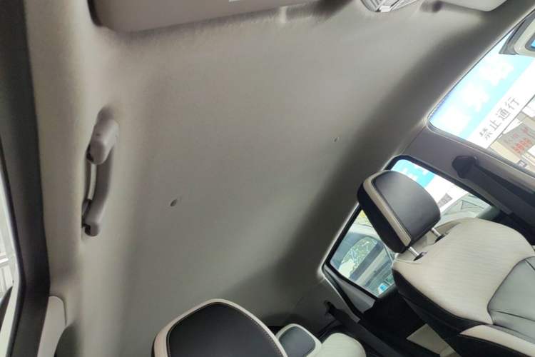 Used Geometry E Firefly 2024 401km Starlight Headliner