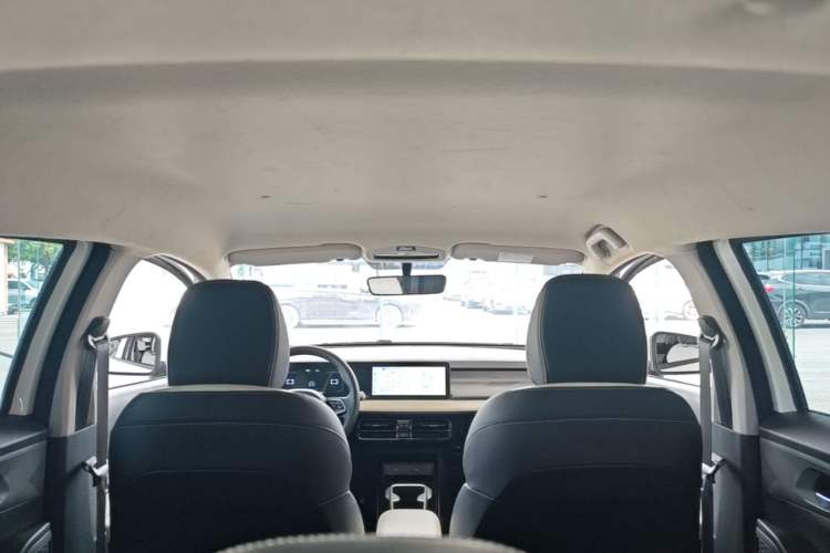 Used Geometry E Firefly 2024 301km Starlight Headliner