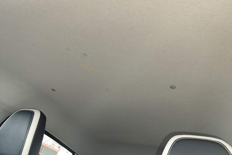 Used Geometry E Firefly 2024 401km Starlight Headliner